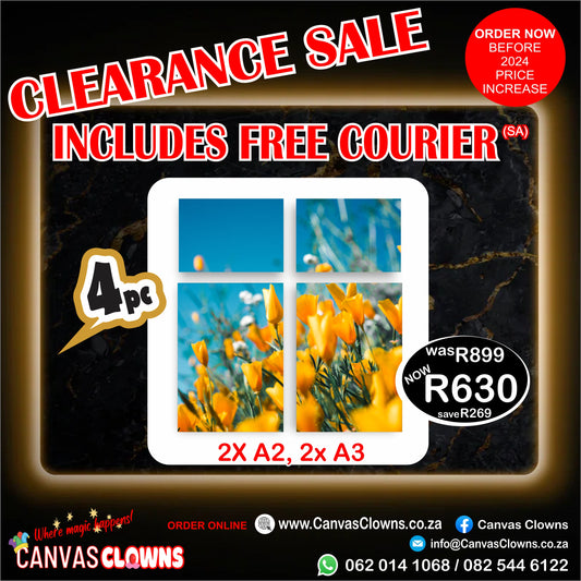 CLR 4 Piece & FREE DELIVERY Canvas Combo (2 x A2 | 2 x A3)